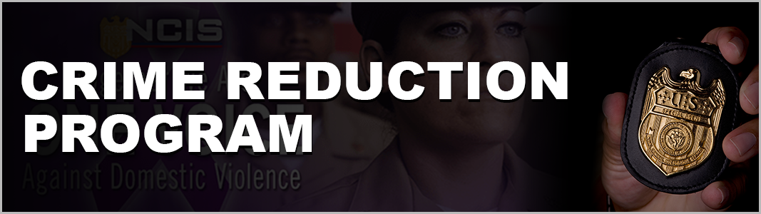 Crime Reduction Program Crime Reduction Program